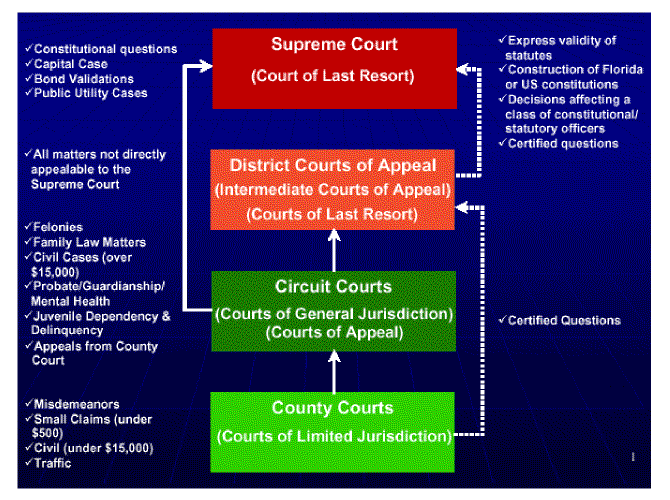 Supreme Court Flow Chart