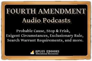 4th amendment essay