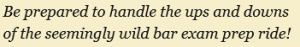Bar Exam Success 5