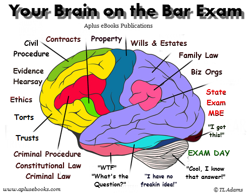Bar Exam Stupor Humor - Your Brain on the Bar Exam [Aplus eBooks]