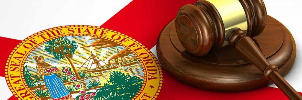 Florida Constitutional Law Commonly Tested Issues
